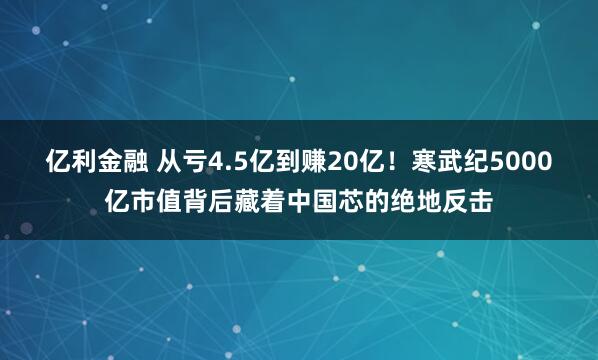 亿利金融 从亏4.5亿到赚20亿！寒武纪5000亿市值背后藏着中国芯的绝地反击