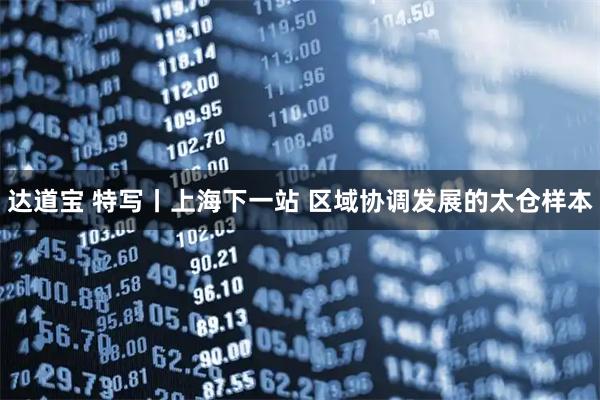 达道宝 特写丨上海下一站 区域协调发展的太仓样本