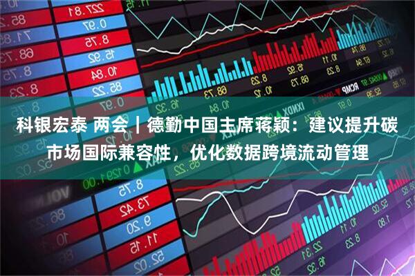 科银宏泰 两会｜德勤中国主席蒋颖：建议提升碳市场国际兼容性，优化数据跨境流动管理