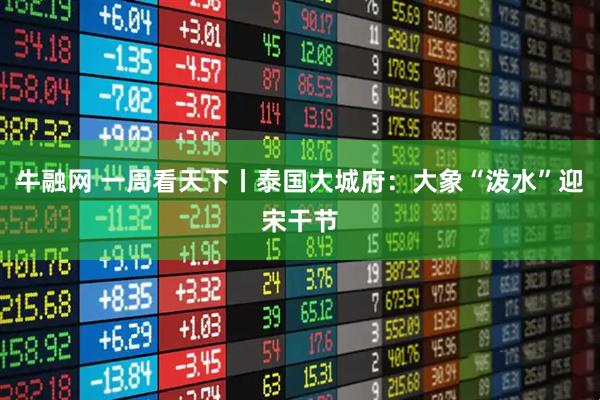 牛融网 一周看天下丨泰国大城府：大象“泼水”迎宋干节