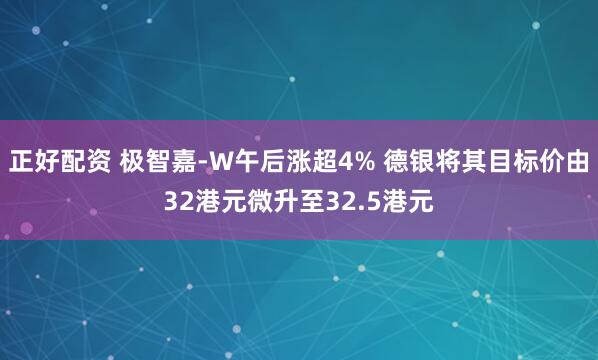 正好配资 极智嘉-W午后涨超4% 德银将其目标价由32港元微升至32.5港元